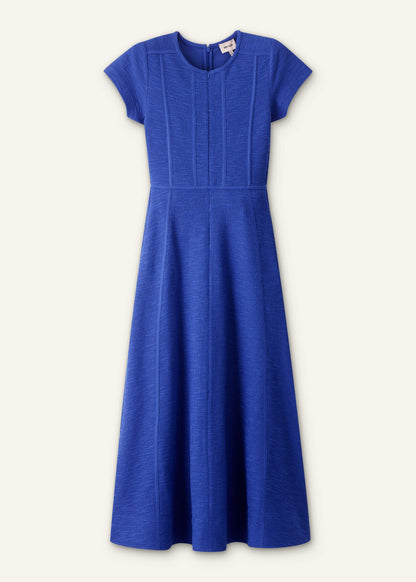 Blue Fit + Flare Maxi Dress