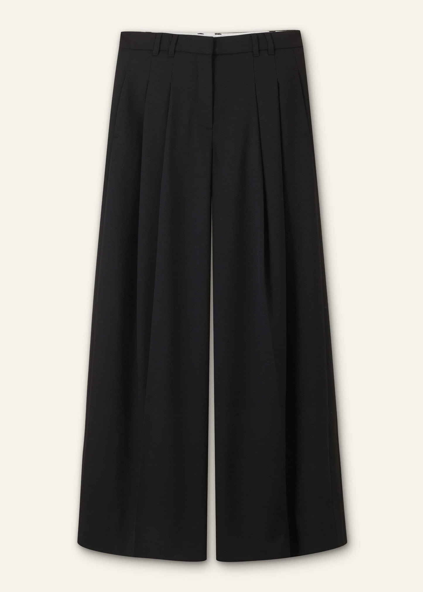 Black Wide-Leg Pleat Pant