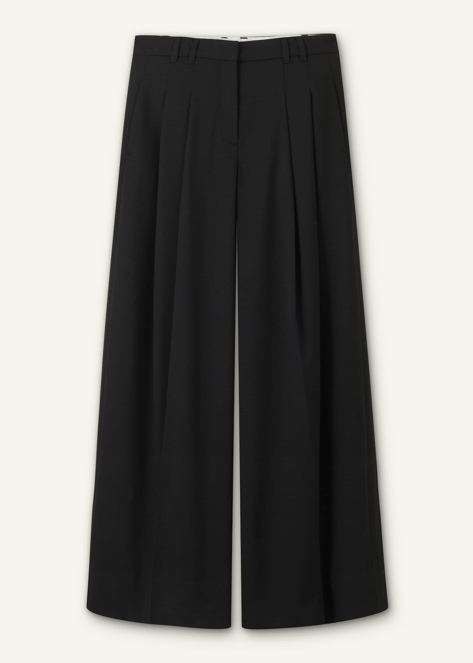 Black Wide-Leg Pleat Pant