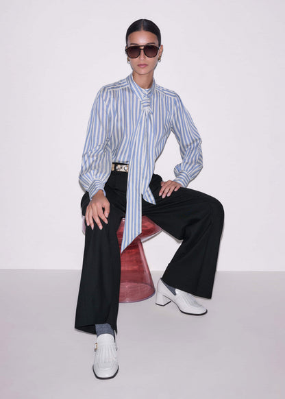 Blue Soft Stripe Shirt + Neck Tie