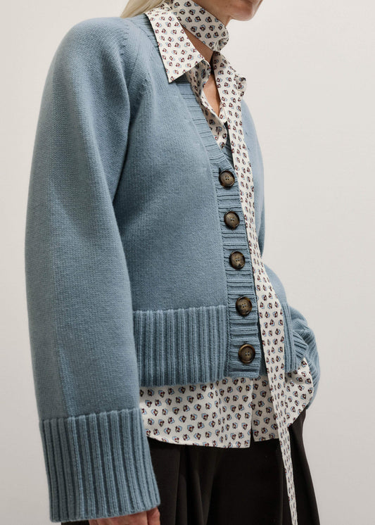 Blue V-Neck Relaxed Raglan Cardigan