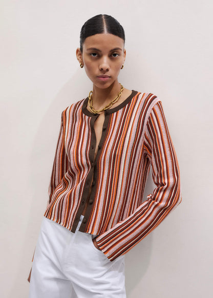 Cinnamon Brown Metallic Stripe Cardigan