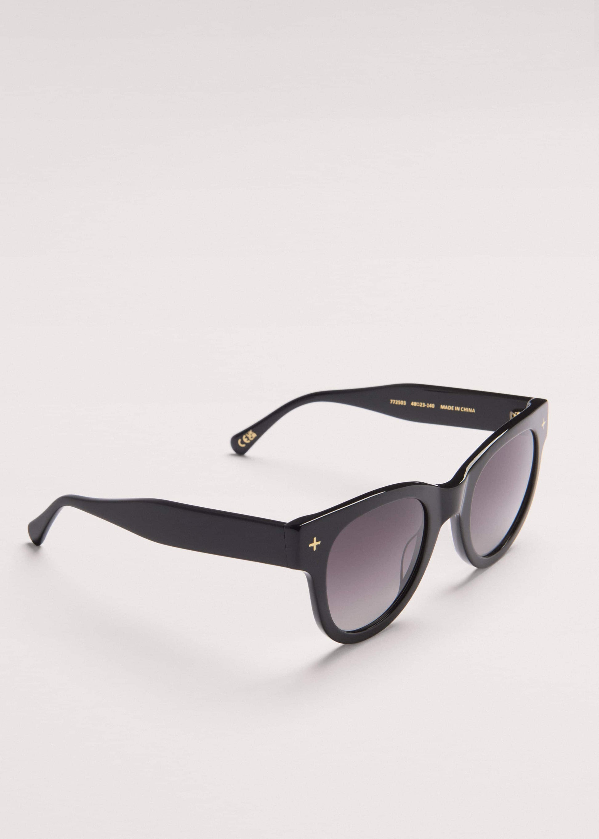 Black D Frame Sunglasses
