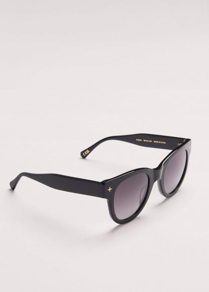 Black D Frame Sunglasses